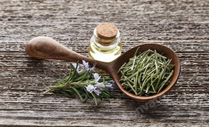 Rosemary Oil